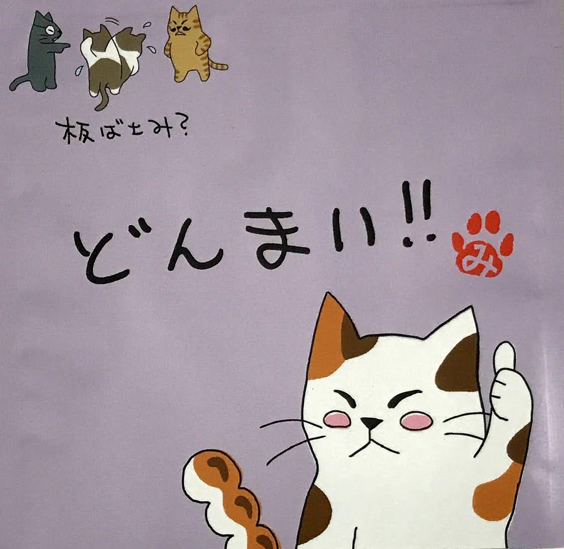 看板ネコのつぶやき『どんまい！』 | 看板ネコのつぶやき | お茶通販