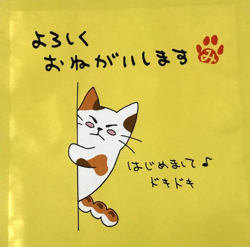 怪異348】SCP-040-JP - ねこですよろしくおねがいします