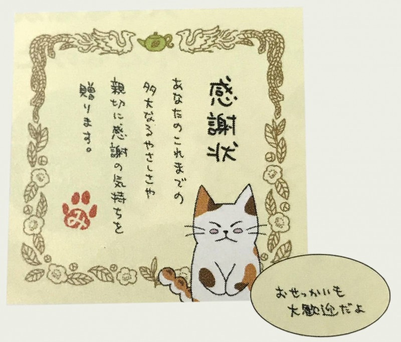 ĥͥߤ餷󡡡ִվסä紿ޤ衪