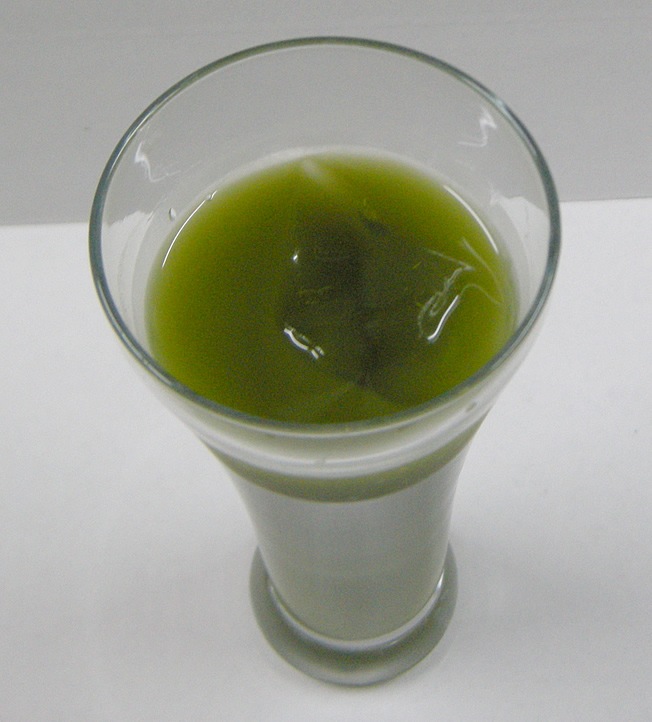 ケース販売！美味しいグリーンティー（120g×10袋入り） | ケース販売