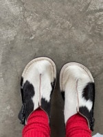 新品同様　センターシームサンダル　LA BAUME　39 新品同様 センターシームサンダル LA BAUME 39 新品同様 センター