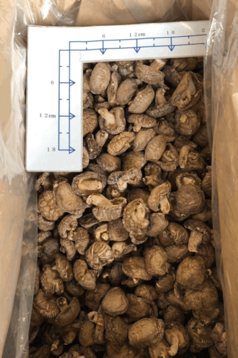 もこたんさま専用 大分県特産 生どんこ椎茸「春子」 大分県産 新物干し椎茸「春子 どんこ椎茸」100g袋入り＊通常