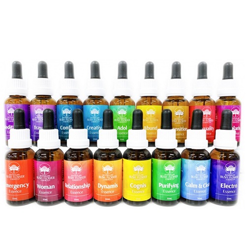 ブッシュコンビネーション17本セット