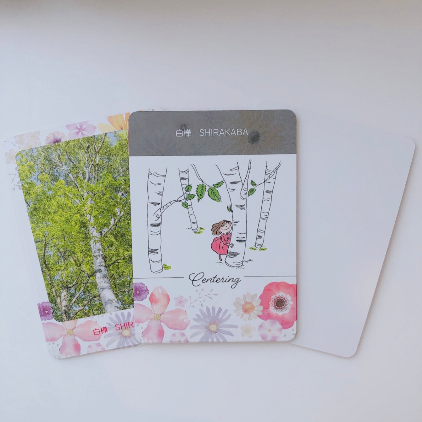 花音カード（白樺～たんぽぽまで写真とイラスト14枚）