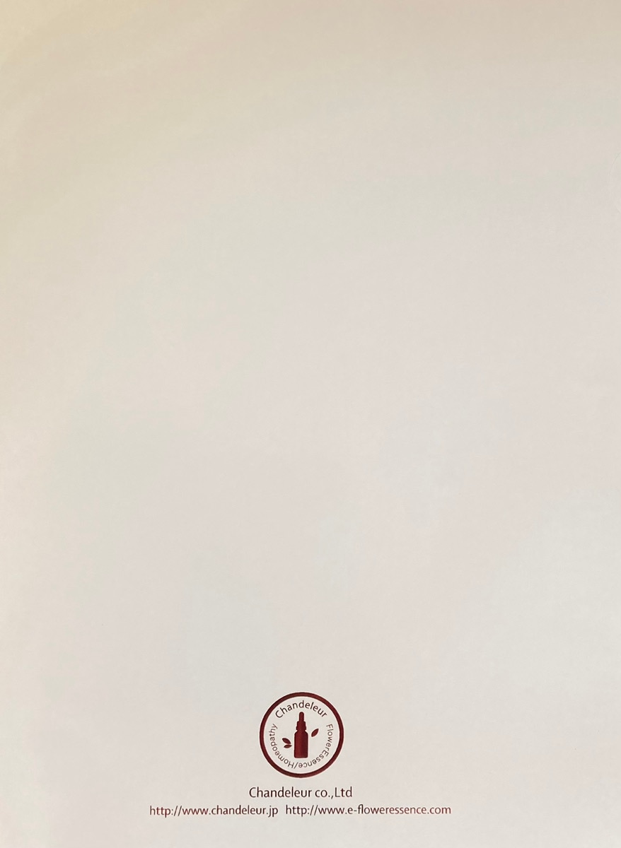 オリジナルロゴ クリアファイル/10枚セット