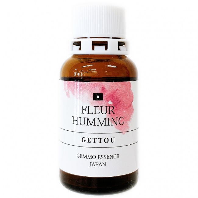 【受注商品】ゲットウ[GETTOU](和ジェモ)