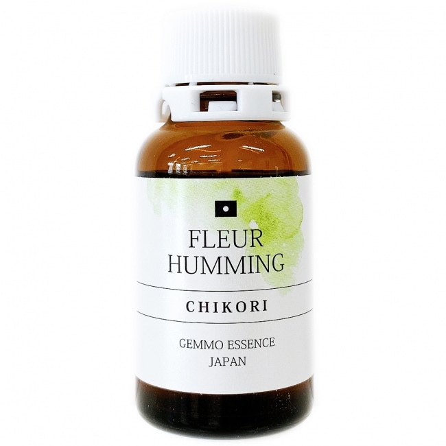 【受注商品】チコリ[CHIKORI](和ジェモ)