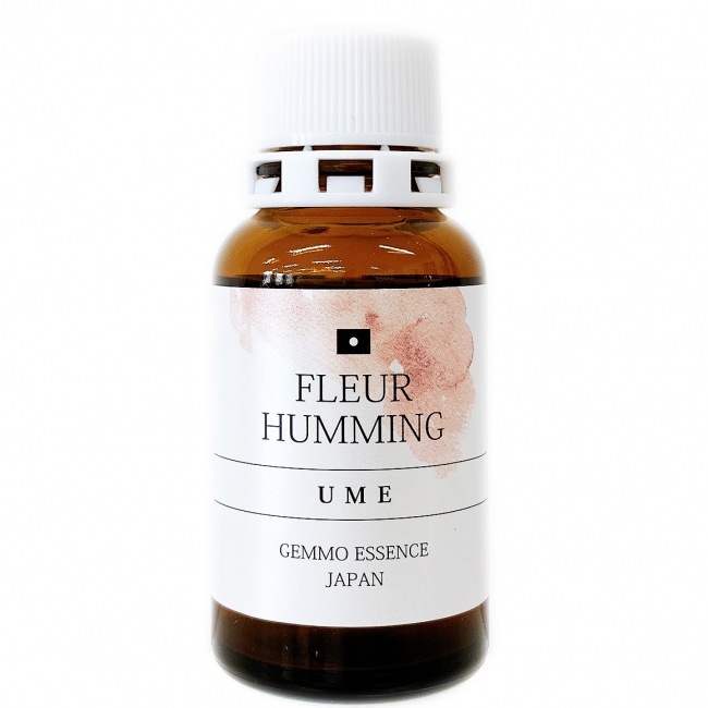 【受注商品】ウメ[UME](和ジェモ)