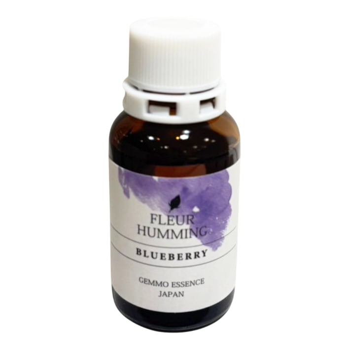 【受注商品】ブルーベリー[BLUEBERRY](和ジェモ)