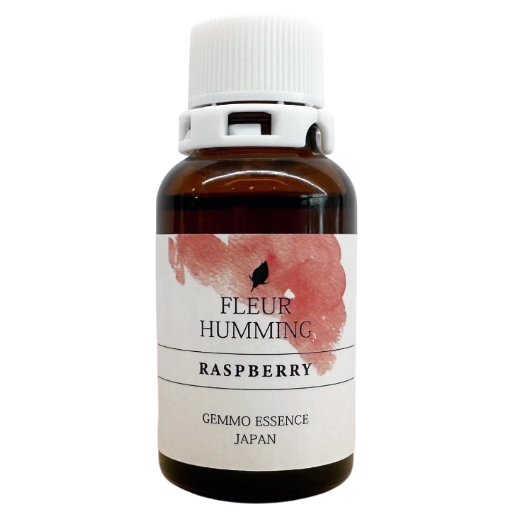 【受注商品】ラズベリー[RASPBERRY](和ジェモ)