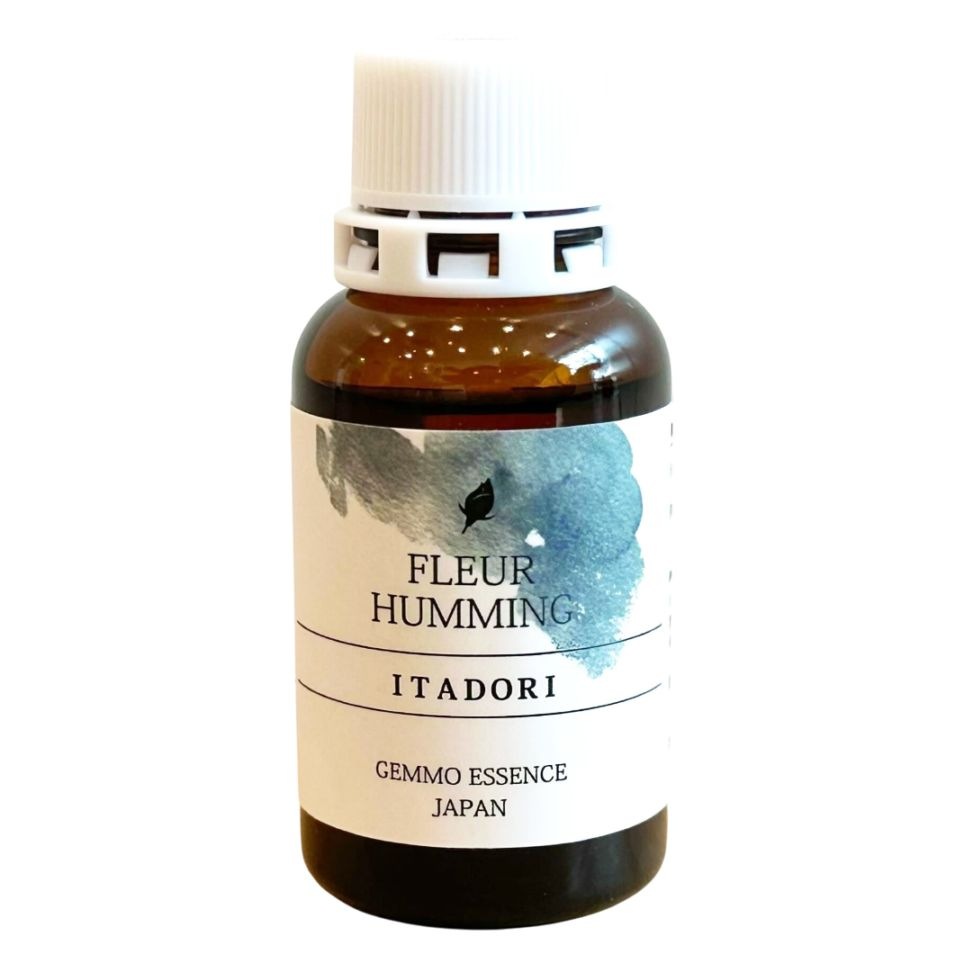 【受注商品】イタドリ[ITADORI](和ジェモ)