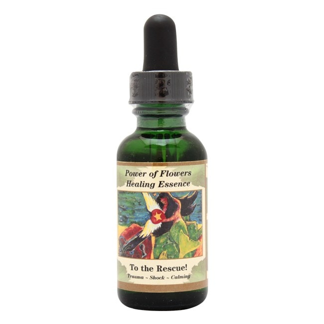 トゥー ザ レスキュー