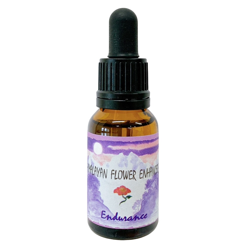 エンデュランス