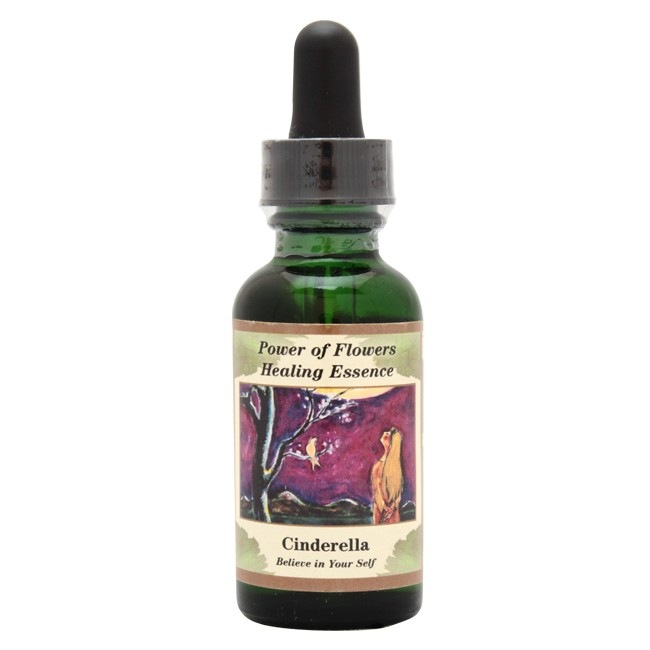 【キャンペーン】シンデレラ