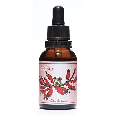 【キャンペーン】デイゴフラワーエッセンス～風の雫～