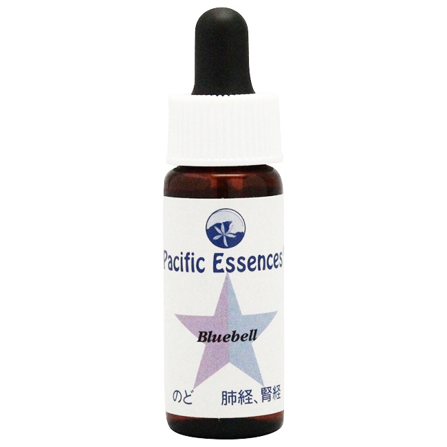 【キャンペーン】ブルーベル