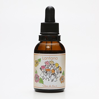 シャンドゥルール/和のフラワーエッセンス