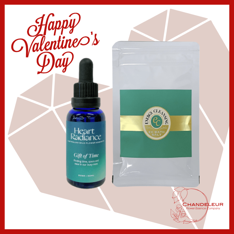 【数量限定！2026バレンタイン限定】バレンタインギフトセット