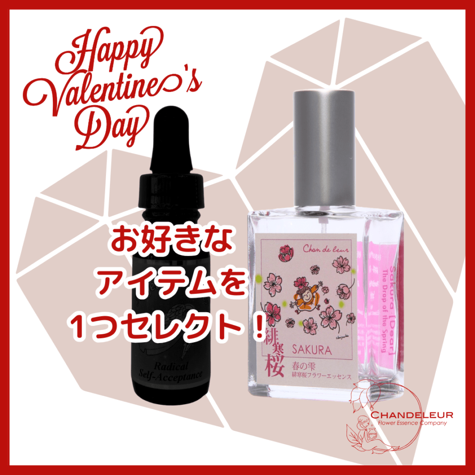 【2026バレンタイン限定】ご自愛バレンタインセット