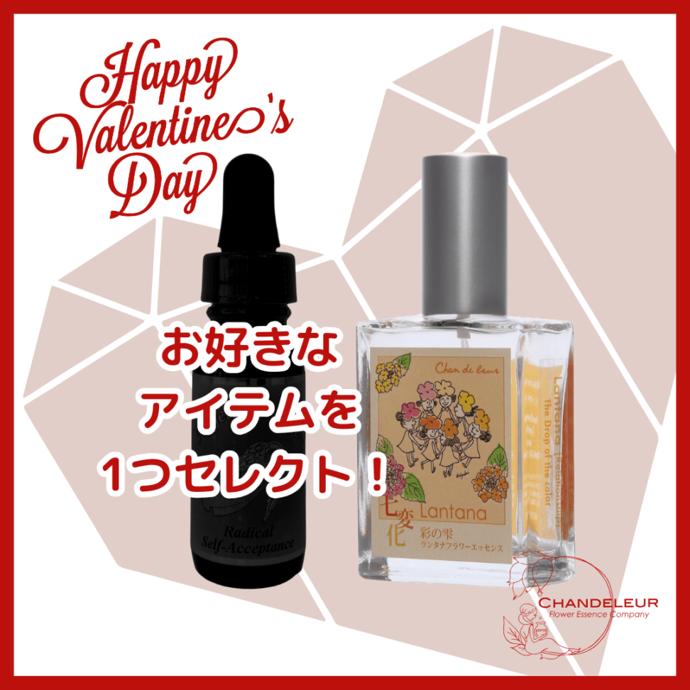 【2026バレンタイン限定】ラブラブバレンタインセット