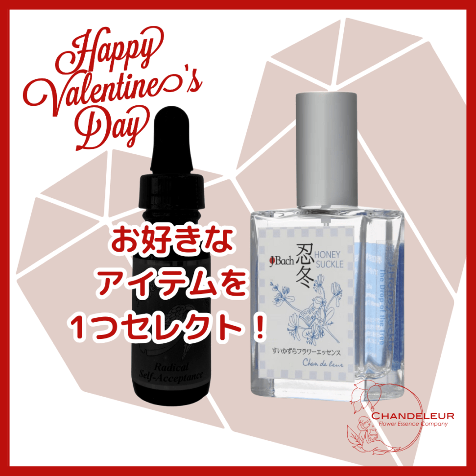 【2026バレンタイン限定】恋愛デトックスセット