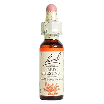 レッドチェストナット