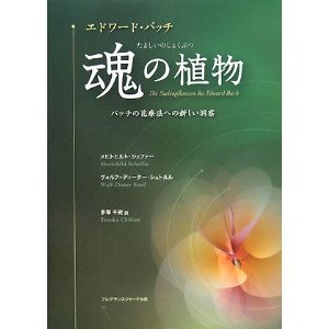 エドワードバッチ 魂の植物