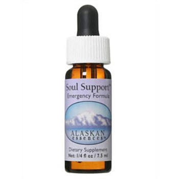 ソウルサポート