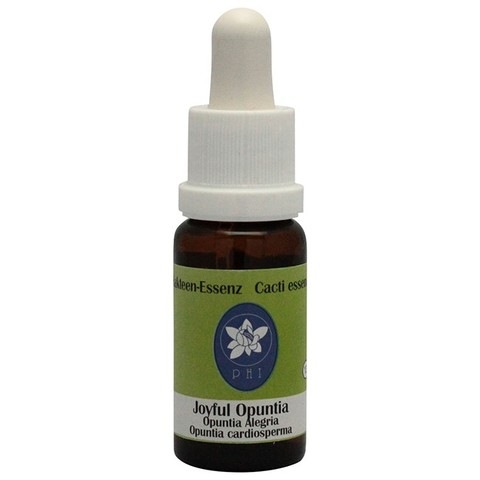 ジョイフルオプンティア