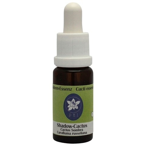 シャドウカクタス