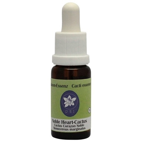 ノーブルハートカクタス