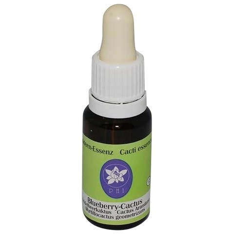 ブルーベリーカクタス