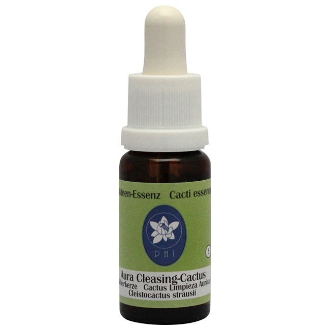 オーラ・クレンジング・カクタス