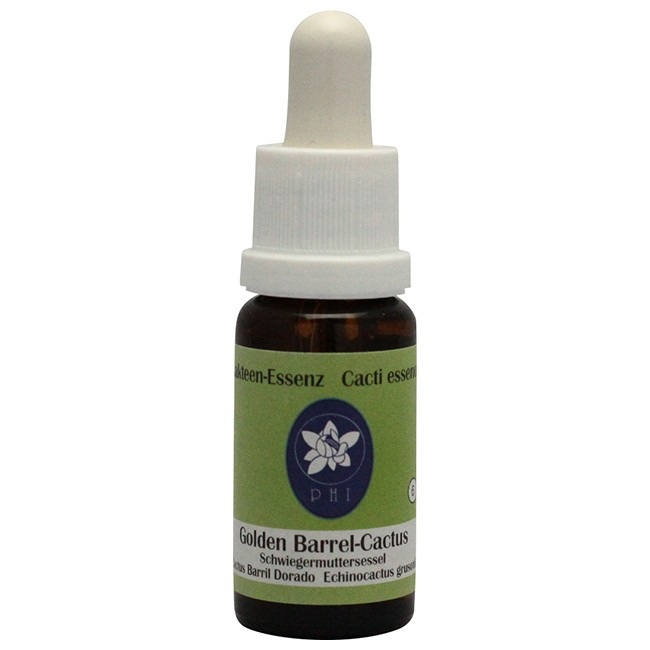 ゴールデン・バレル・カクタス