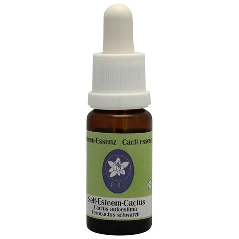 セルフ・エスティーム・カクタス