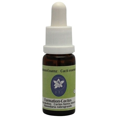 フォーメーションカクタス