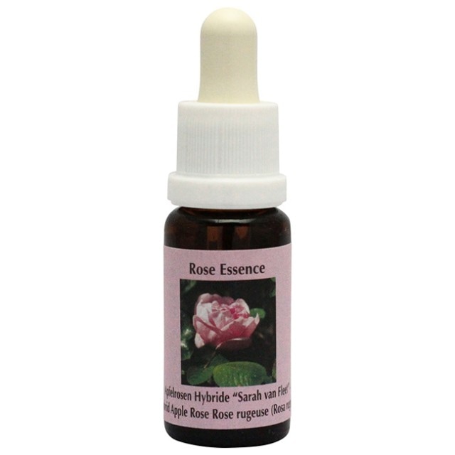 スヴニール・ド・フィレモン・コシェ