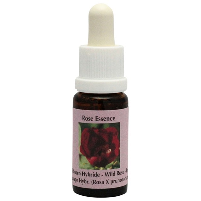 サラ・ファン・フリート