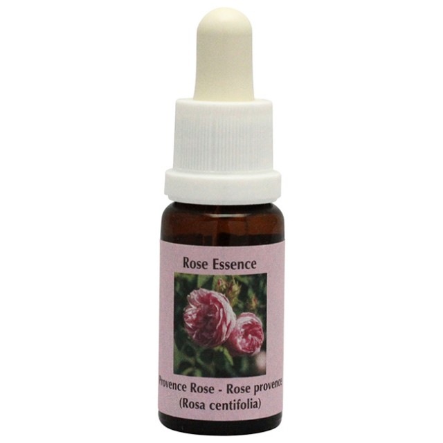 ジャパニーズ・ローズ