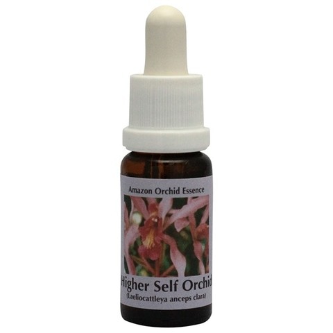 ハイヤーセルフオーキッド