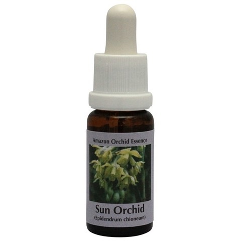 サンオーキッド