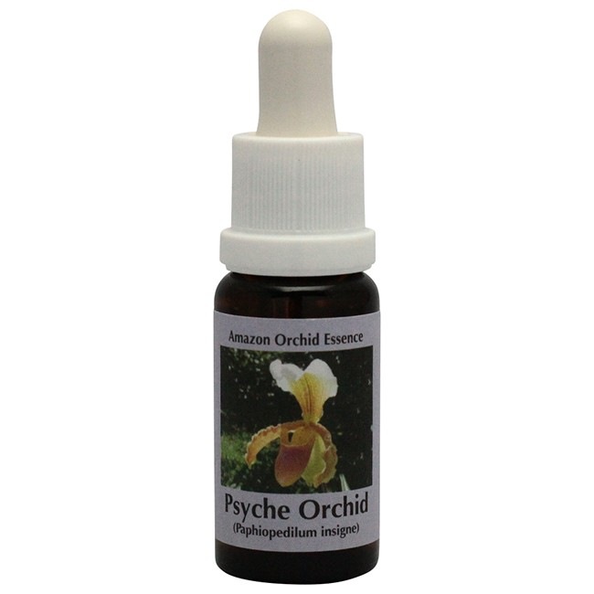 サイキオーキッド