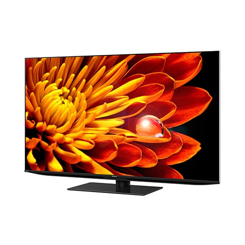 AQUOS XLED 4T-C55EP1 [55インチ]