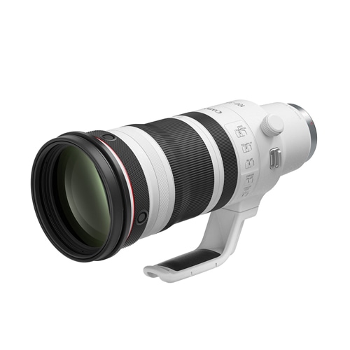 RF100-300mm F2.8 L IS USM