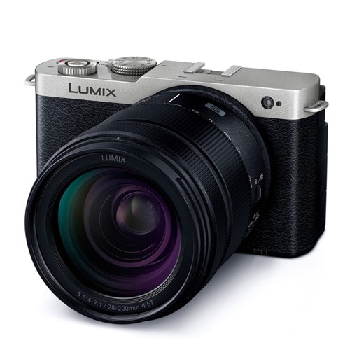 LUMIX DC-S9H-S 高倍率ズームレンズキット [ダークシルバー]
