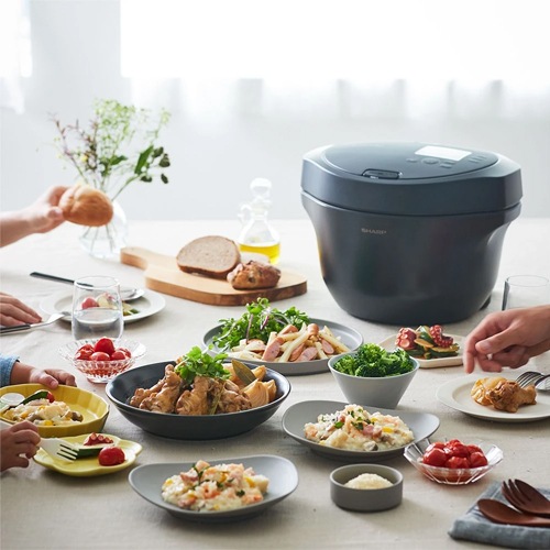 ヘルシオ ホットクック KN-HW24H-B [プレミアムブラック]