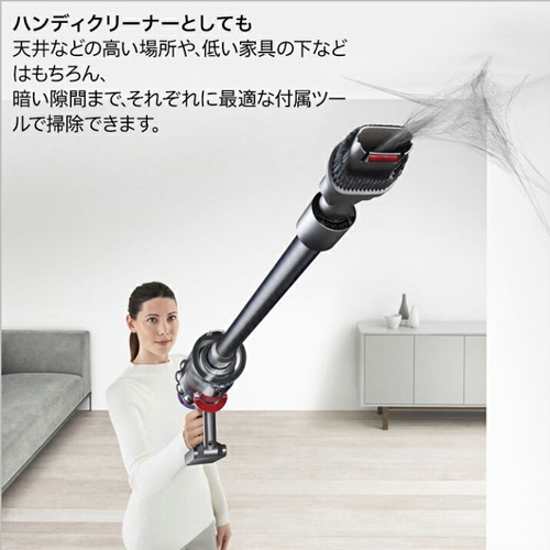Dyson Cyclone V10 Fluffy SV12 FF LF