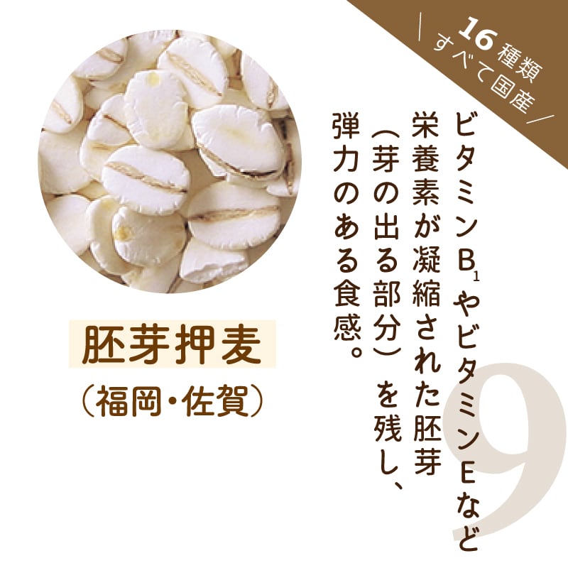 十六茶品質の匠十六雑穀 GABAプラス