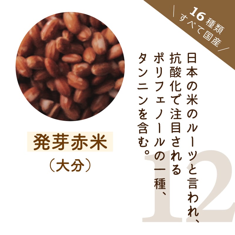 十六茶品質の匠十六雑穀 GABAプラス