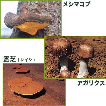 めし・あが・れ